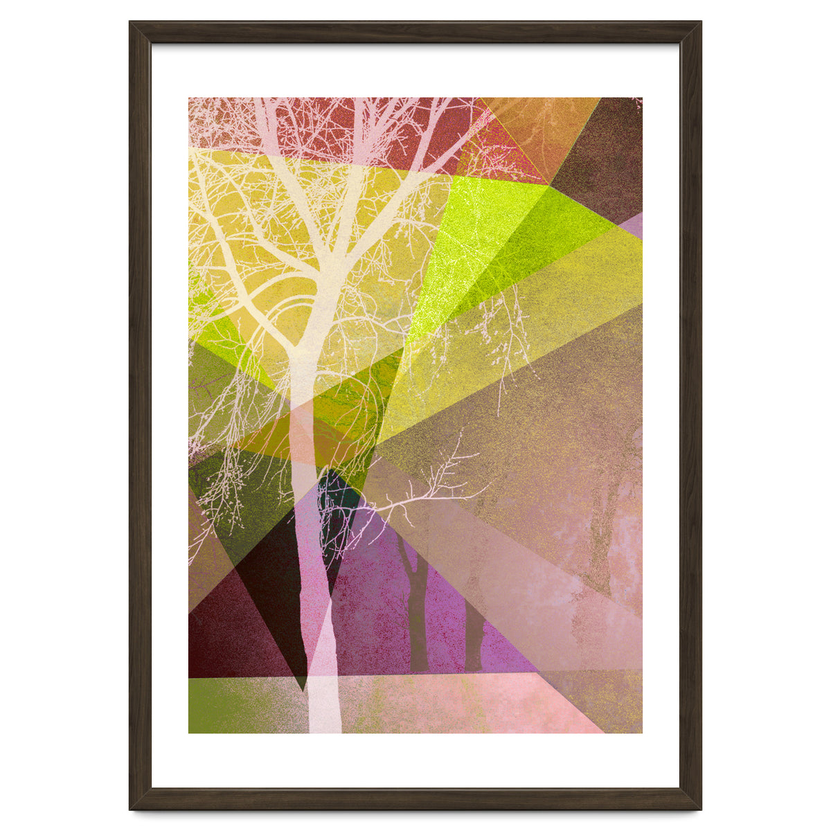 P22 Trees And Triangles