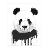 Graffiti Panda (Print Only)