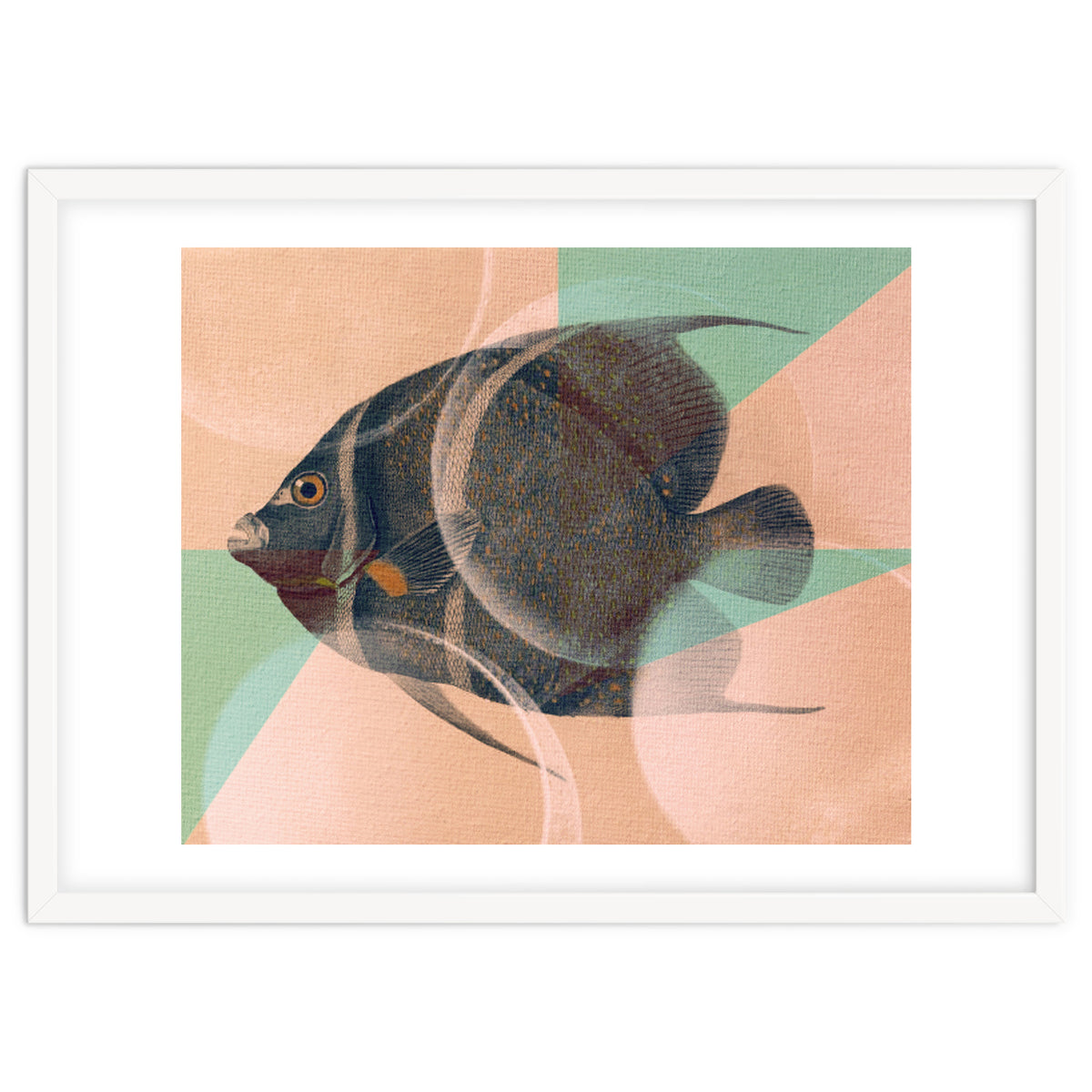 Fish Between Circles 2