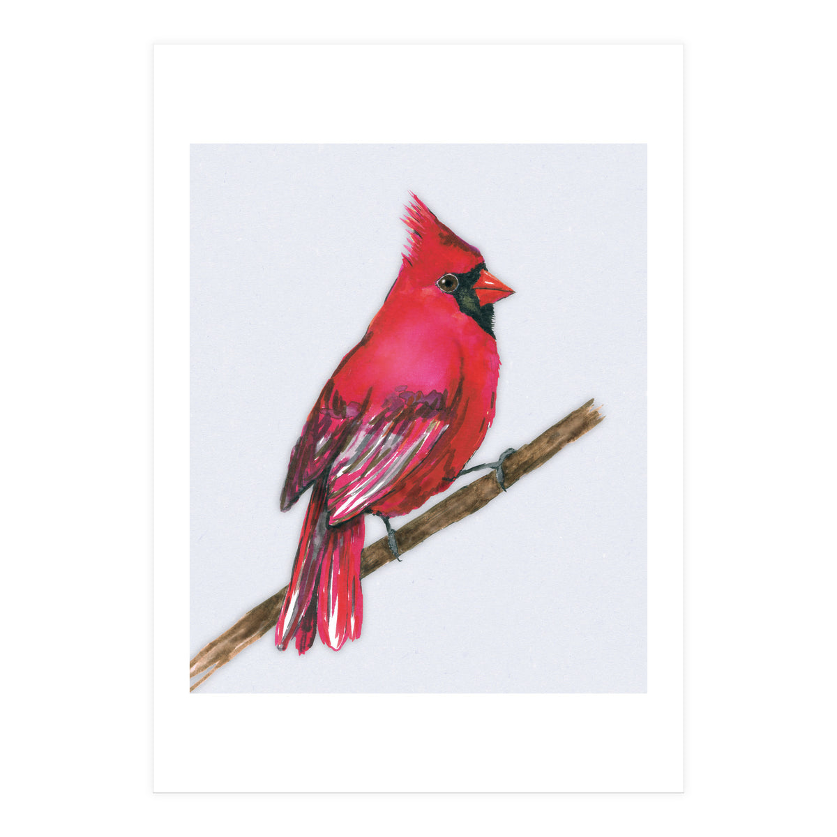A Northern cardinal watercolor (Print Only)