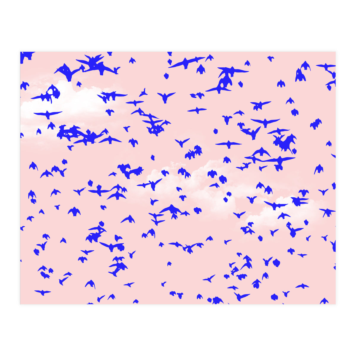 The Right To Fly (Print Only)