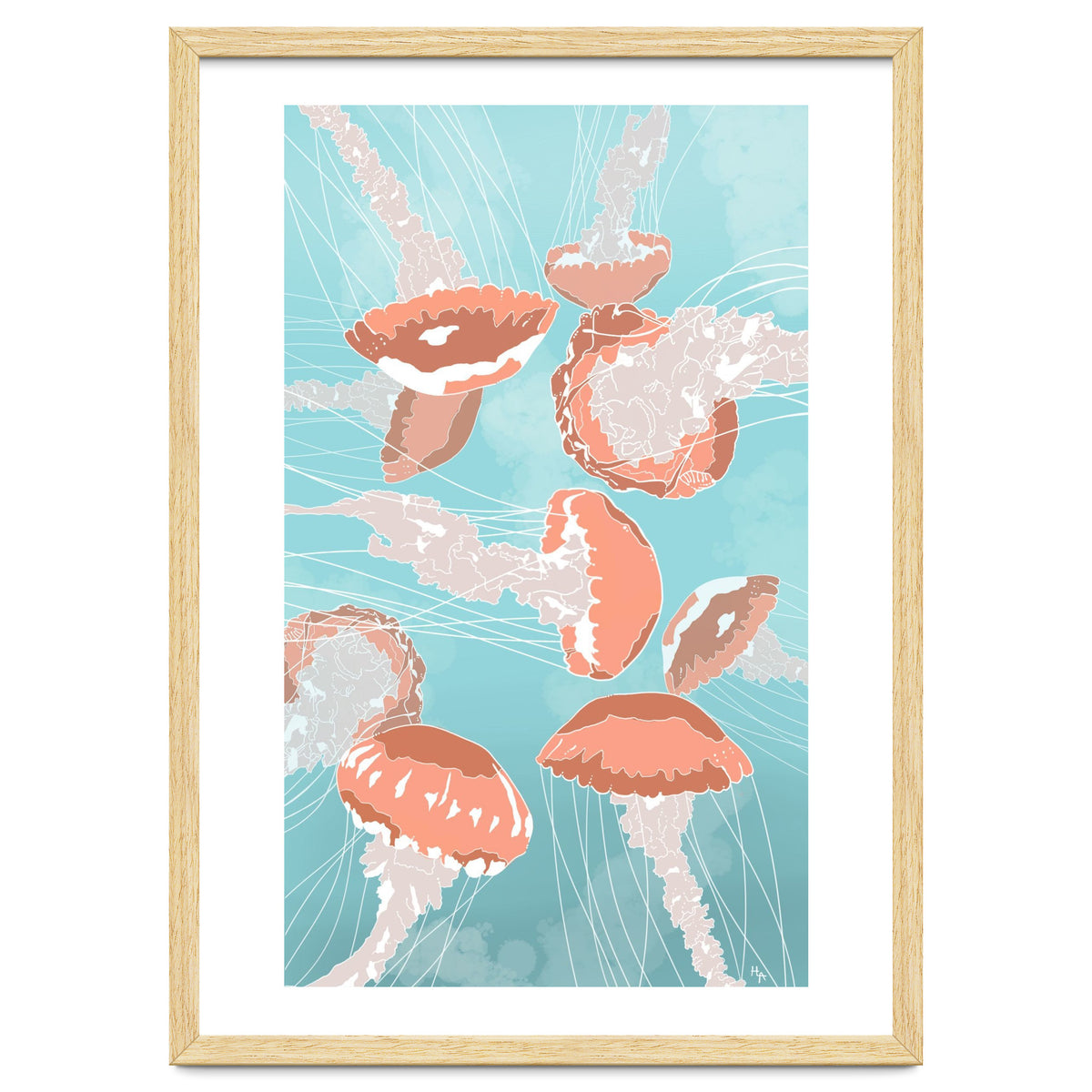 Jellyfish