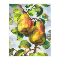 Pears (Print Only)