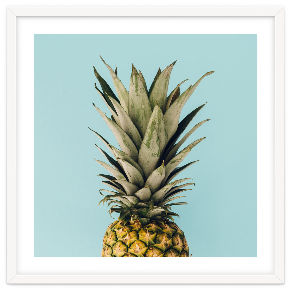 Pineapple On Blue Background