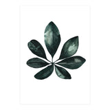 Botanical Illustration Arboricola Schefflera (Print Only) thumbnail