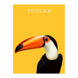 Toucan (Print Only) thumbnail
