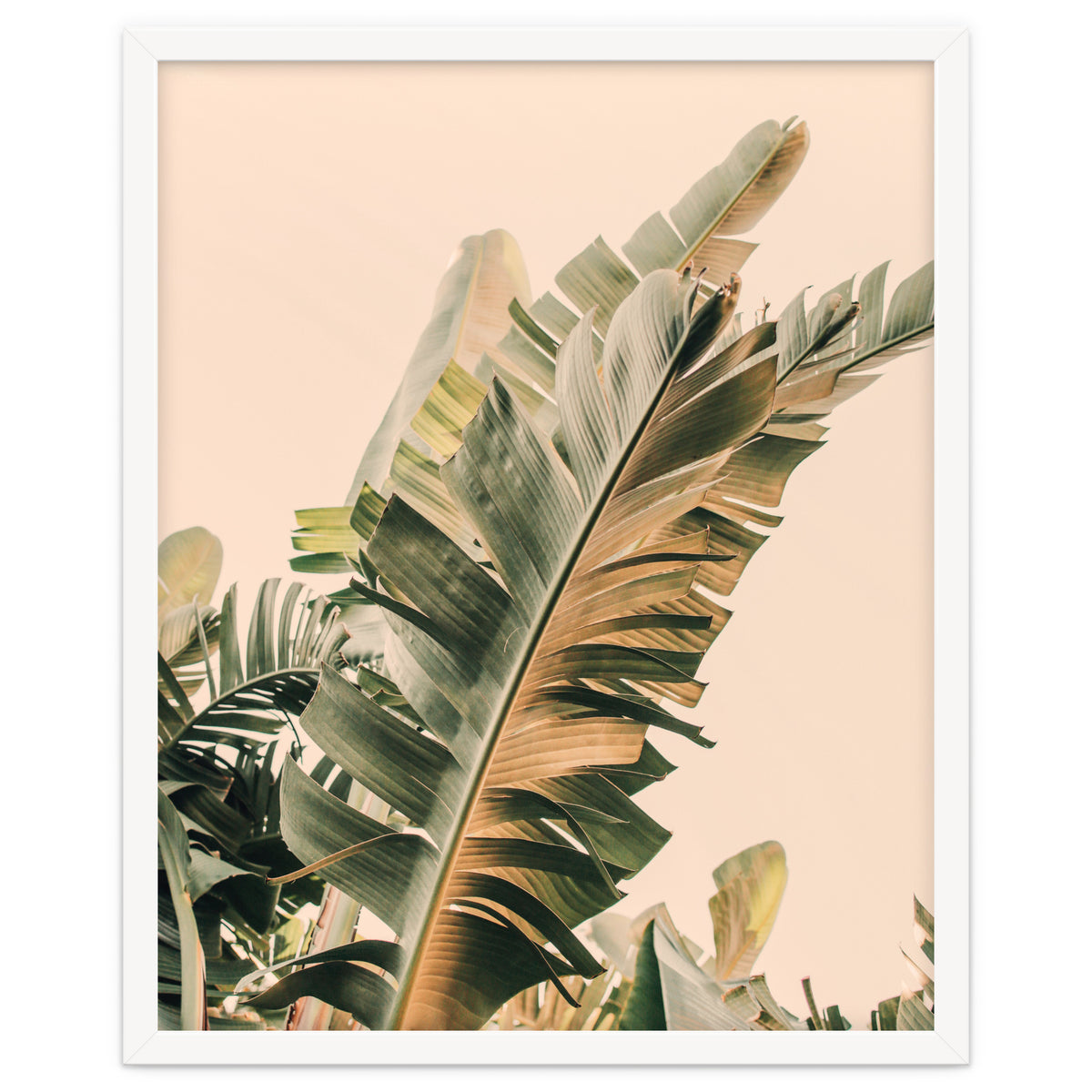 Growing Green Alicia Bock