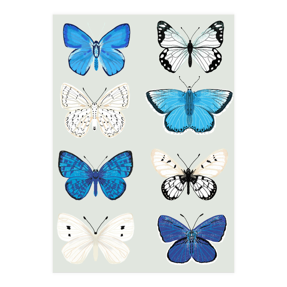 Lepidoptery Study No. 3 (Print Only)
