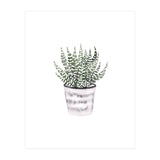 Potted Plant (Print Only) thumbnail