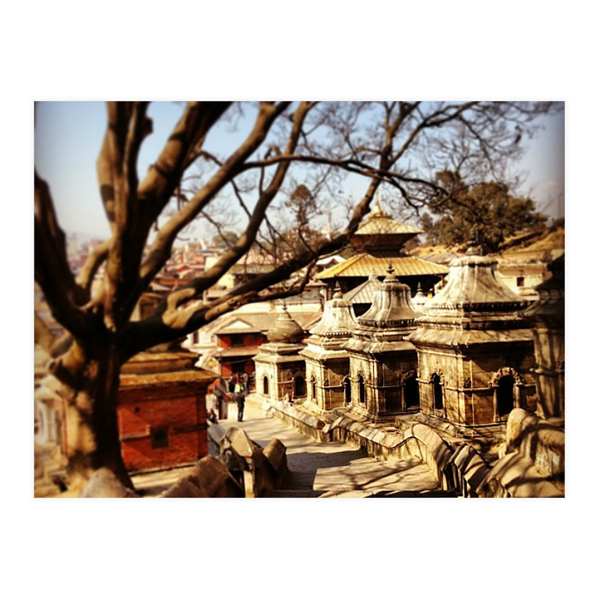 Pashupati Nath Ji (Print Only)