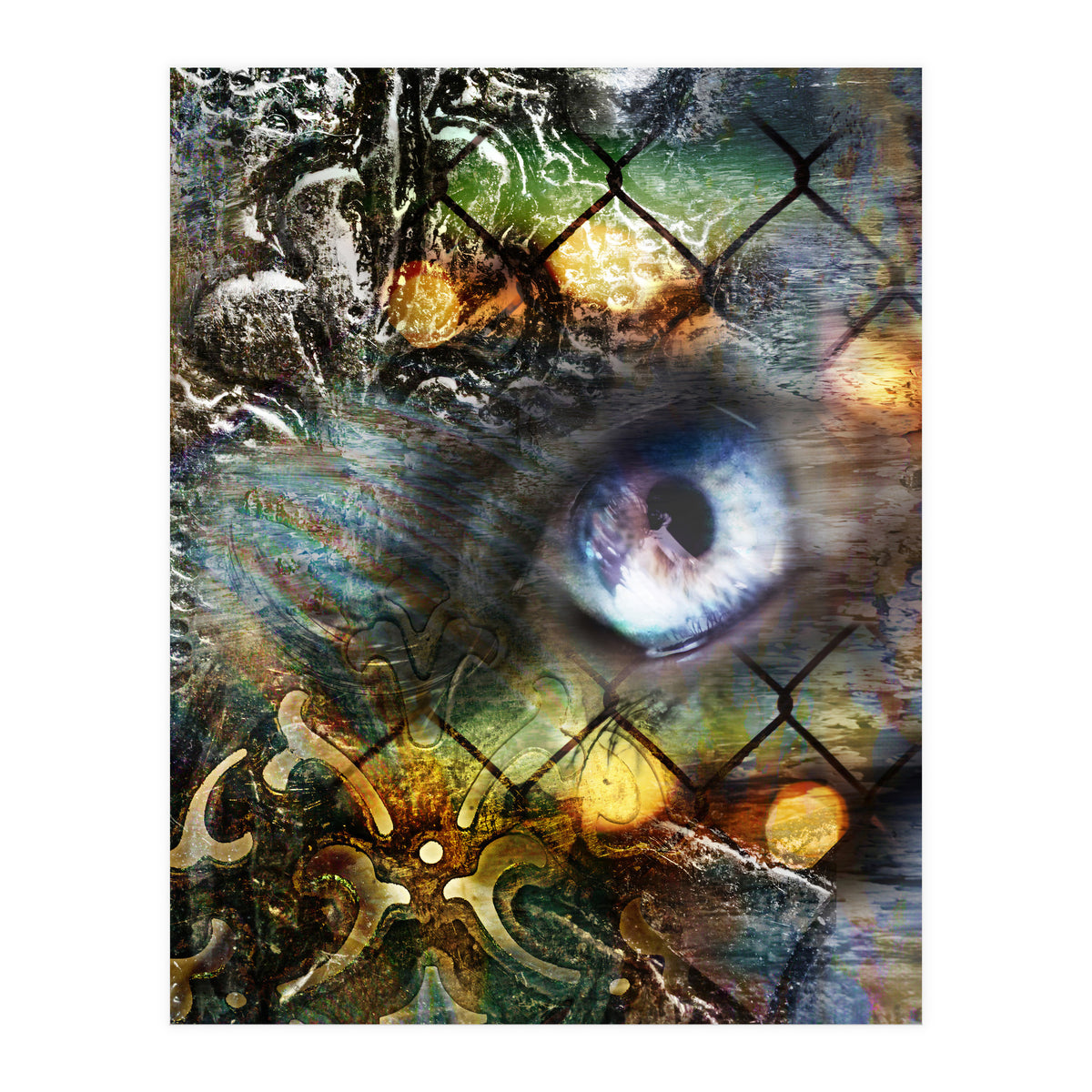 Perceptions (Print Only)