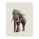 Elephantastic (Print Only) thumbnail