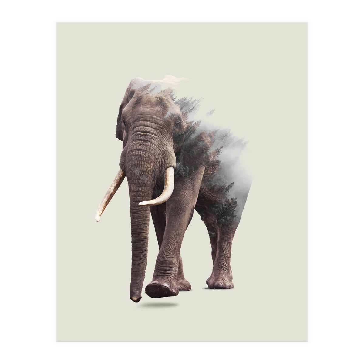 Elephantastic (Print Only)