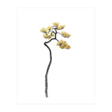 Bonsai Tree 05 (Print Only) thumbnail
