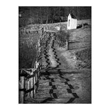 Forestry path (Print Only) thumbnail