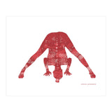 Prasarita Padottanasana in Red (Print Only) thumbnail