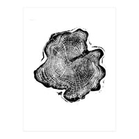 Alaskan Cypress, Tree Ring Art Print, Woodblock (Print Only)