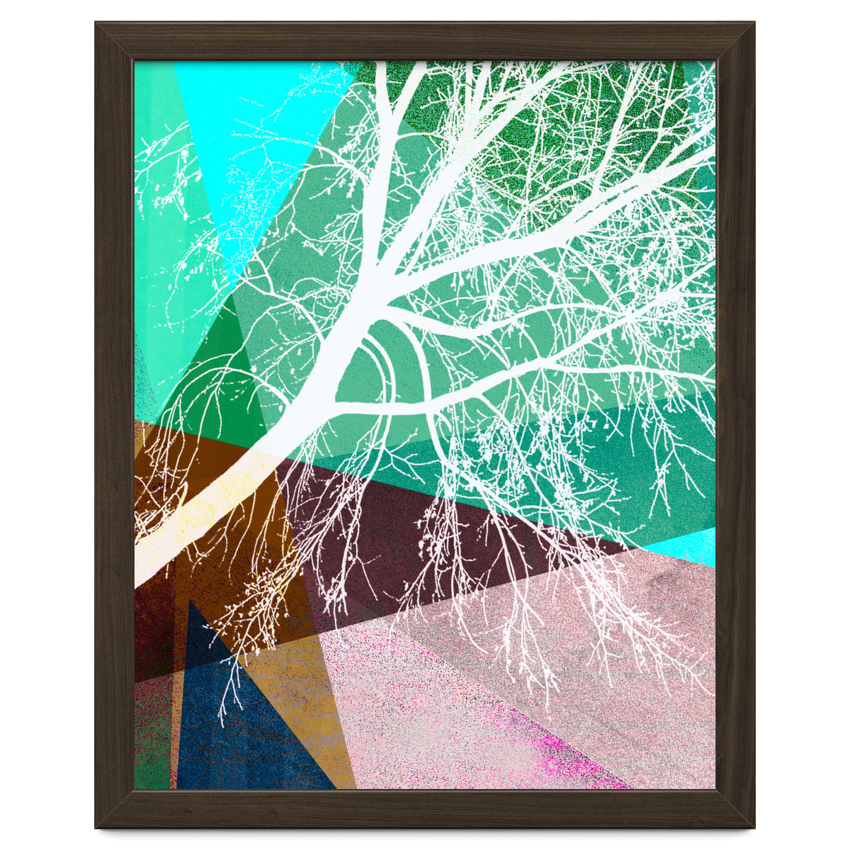 P16-H Trees And Triangles