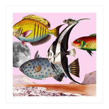 Fish World Pink (Print Only) thumbnail