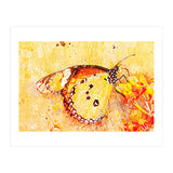 Butterfly On Aclepias (Print Only) thumbnail