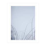 Forgotten Memories of Summer #20 (Print Only) thumbnail