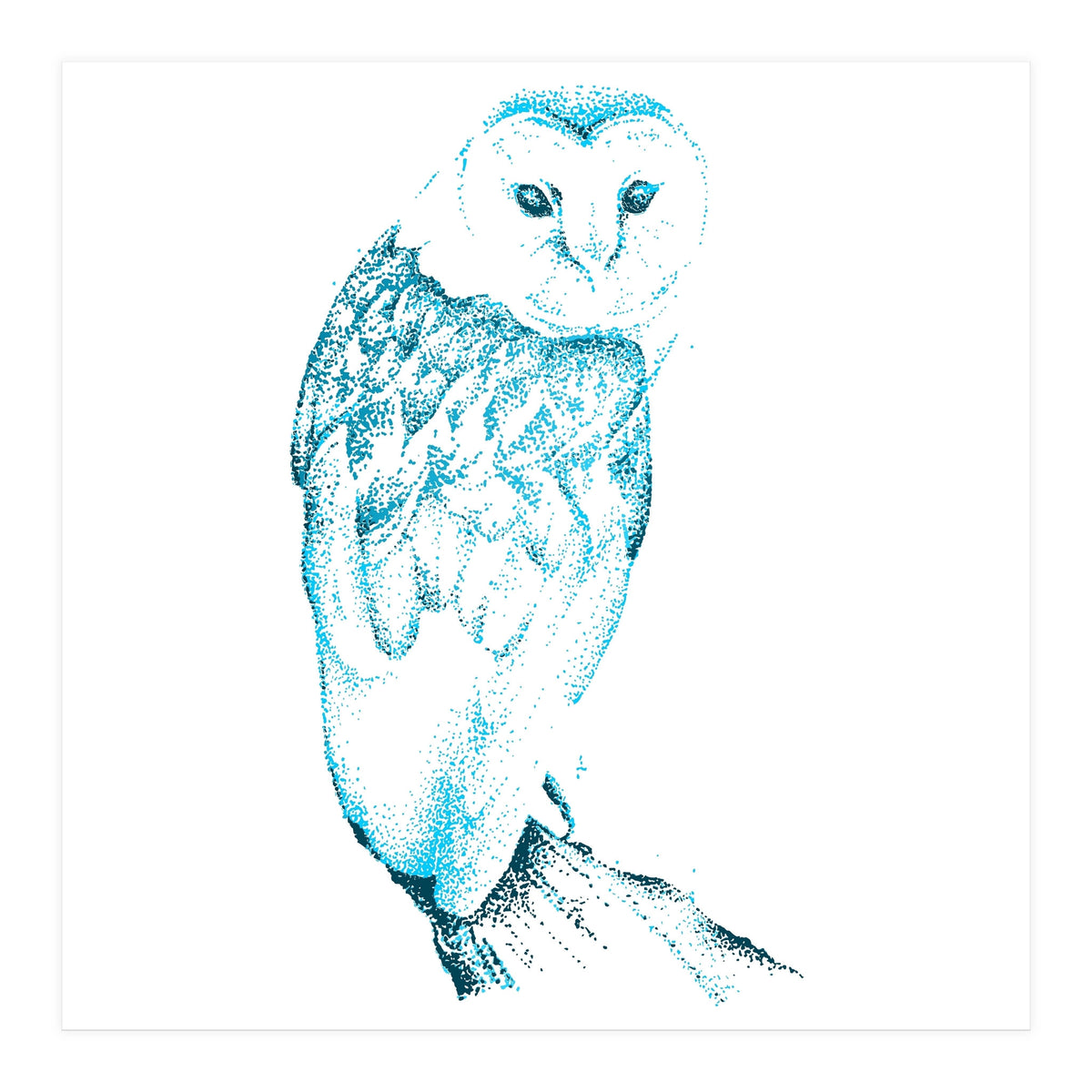 Barn Owl in Teal (Print Only)