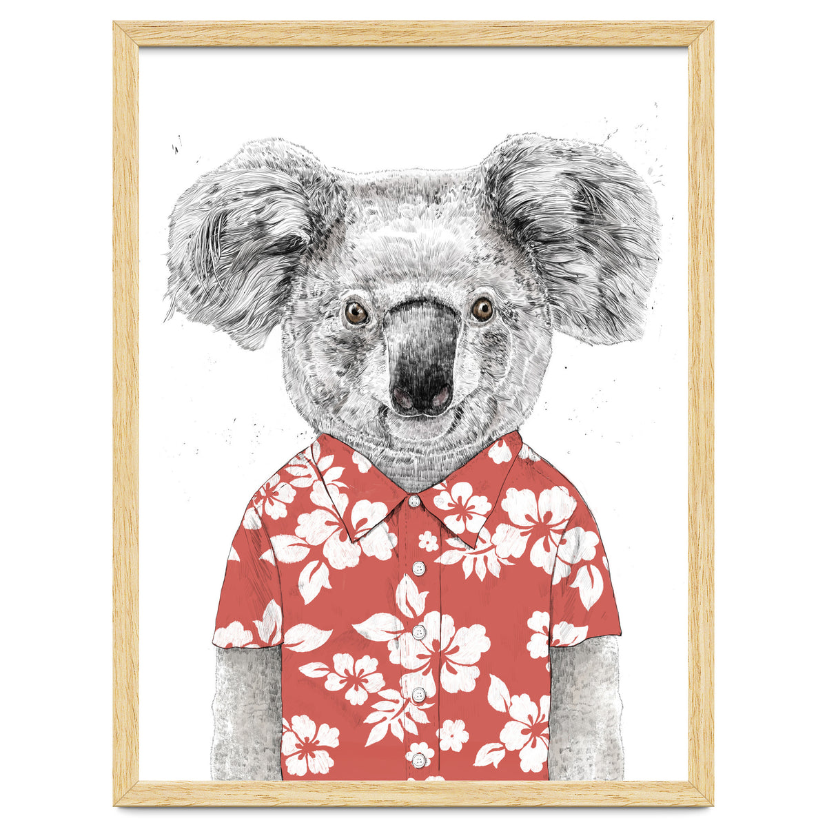 Summer Koala