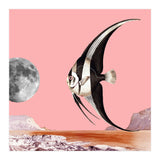 Plenty Of Fish In The Sea Pink (Print Only) thumbnail