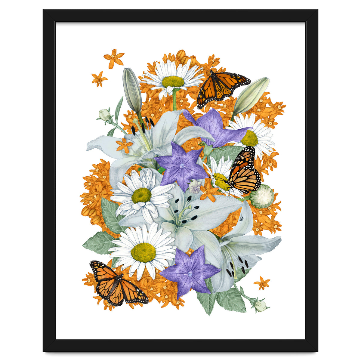 Lillies and Monarchs