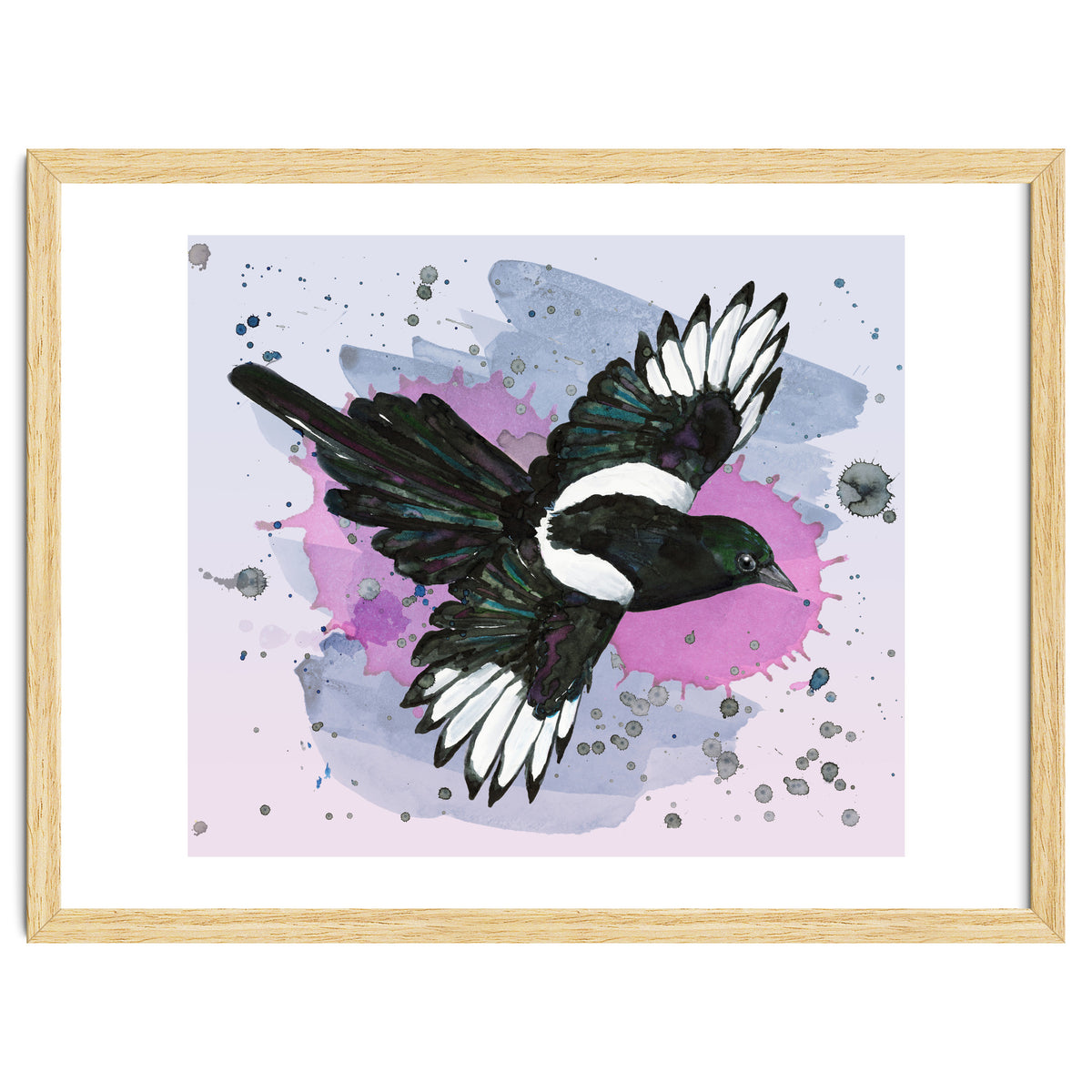 A watercolor drawing of a flying magpie