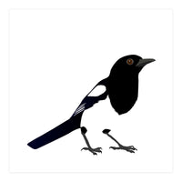 Magpie (Print Only)
