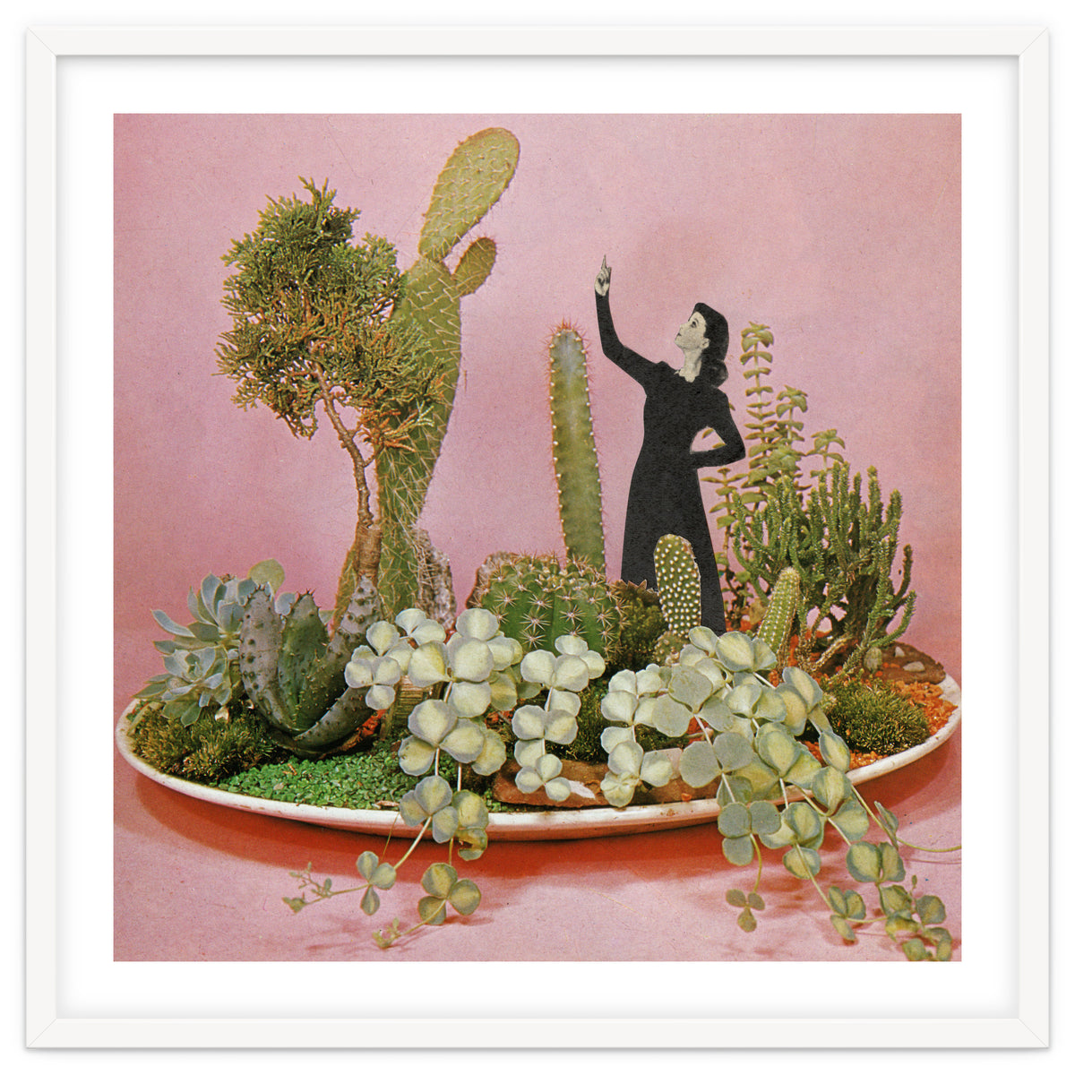 The Wonders Of Cactus Island