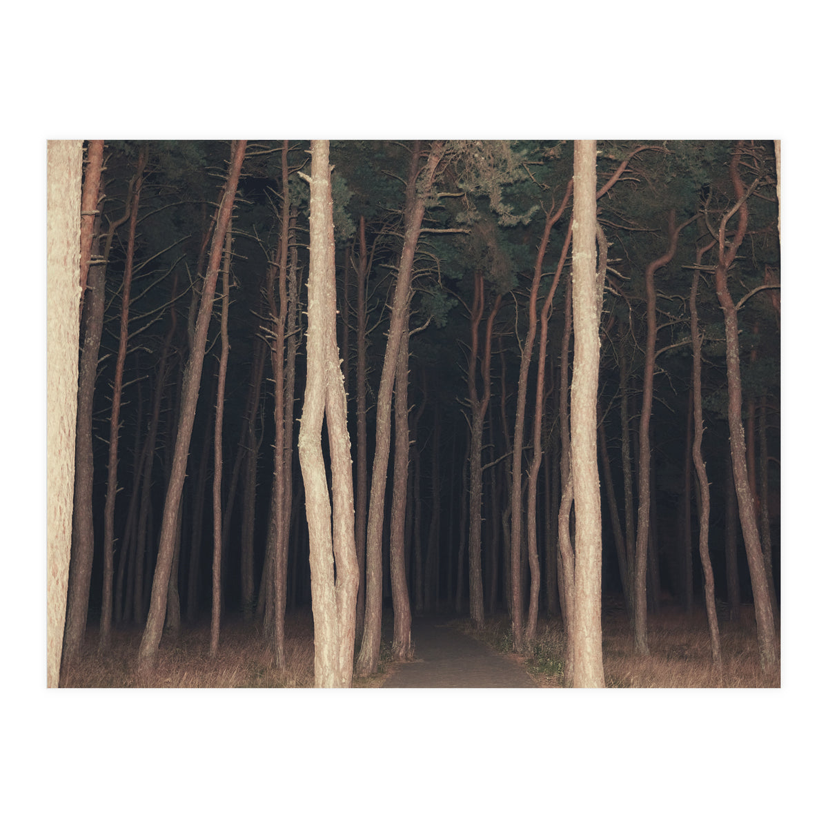 The Slender Man (Print Only)