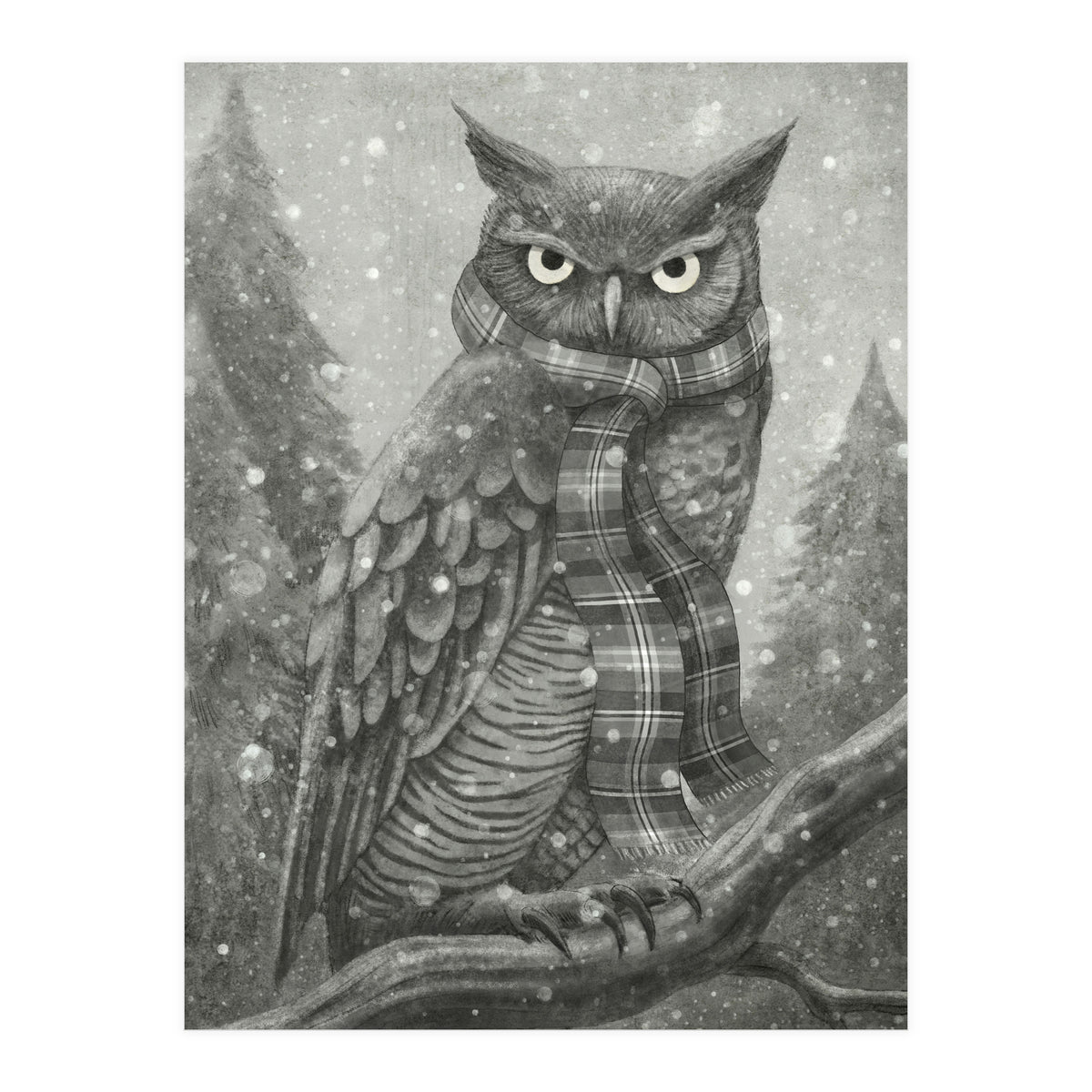 Winter Owl (Print Only)