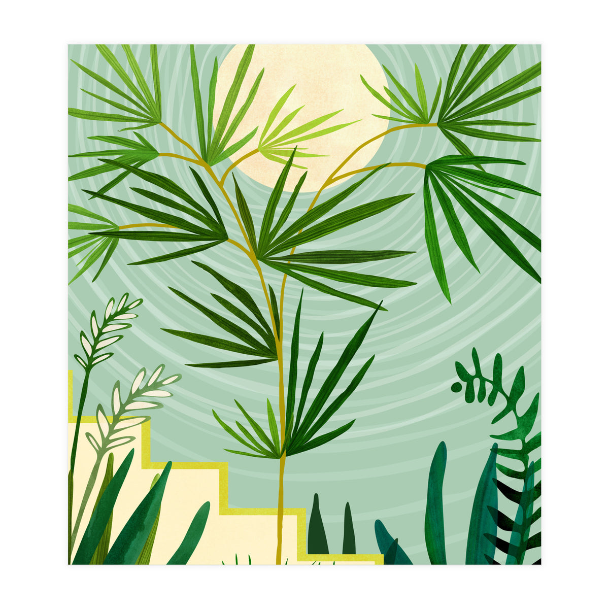 Spring Desert Night (Print Only)