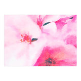 Kairos (Print Only) thumbnail