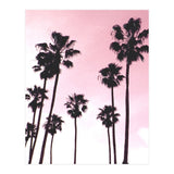 Palms & Sunset (Print Only) thumbnail