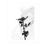 White Rose | Liquid Art  (Print Only) thumbnail