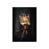 VooDooTooL - Goga (Print Only) thumbnail