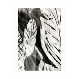 Tropical Season BW 3 (Print Only) thumbnail