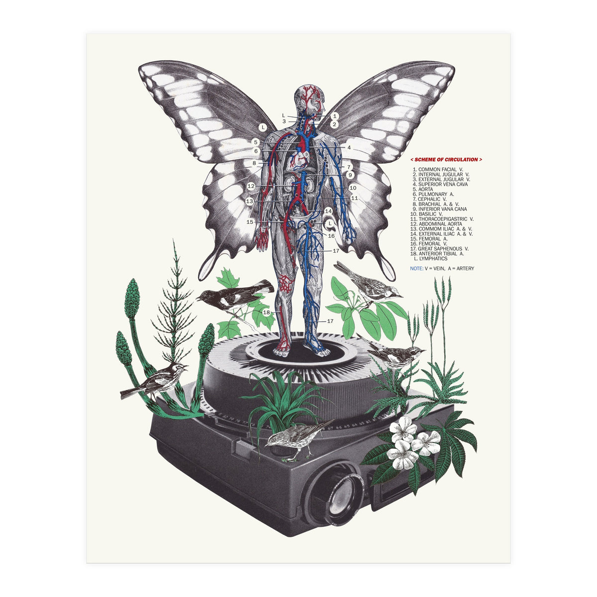 Hologram (Print Only)