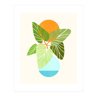 Tropical Symmetry II (Print Only)