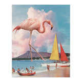 Flamingo Playground (Print Only) thumbnail