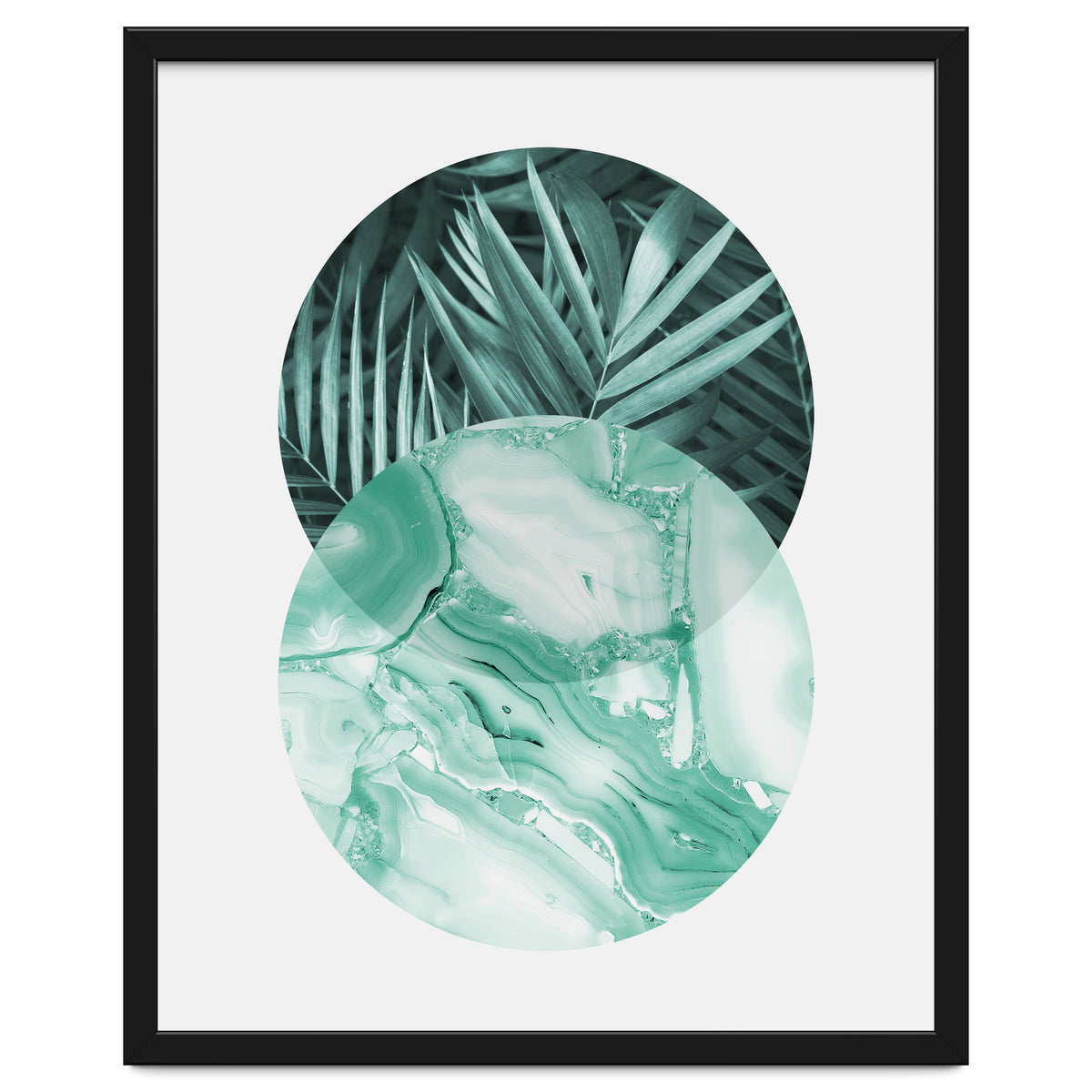 Botanical and geometric IV