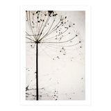 Herbstblume (Print Only) thumbnail