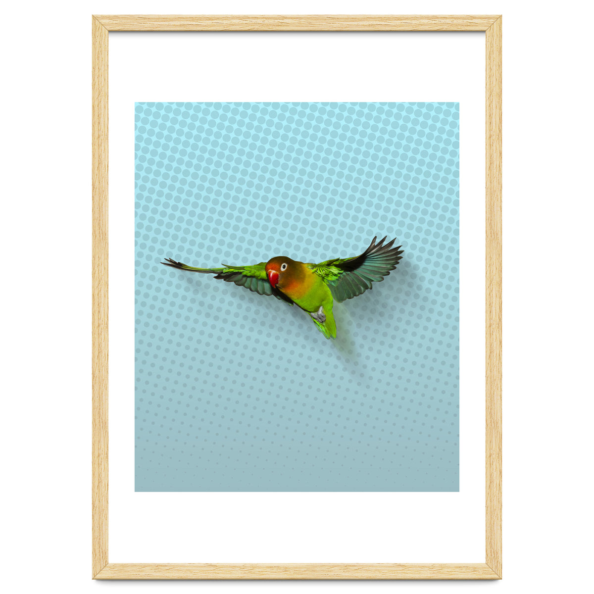Flying lovebird