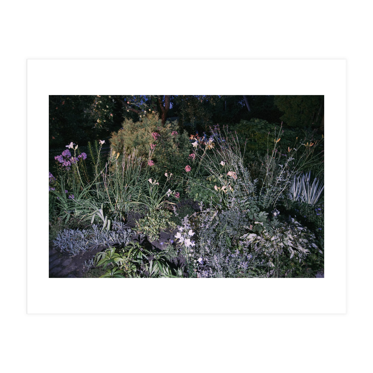 Picture Postcard Perfect (Print Only)