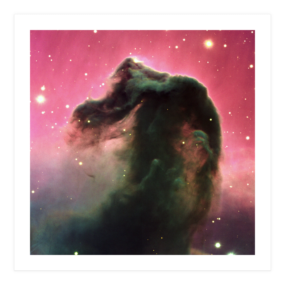 The Horsehead Nebula (Print Only)