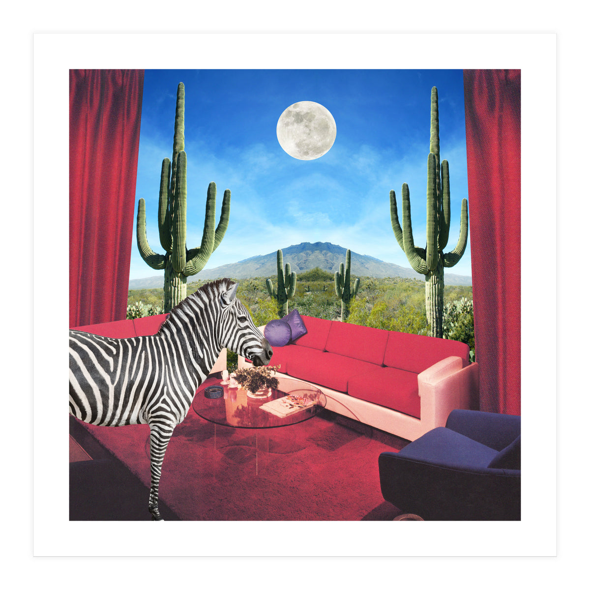 Saguaro Stripes (Print Only)