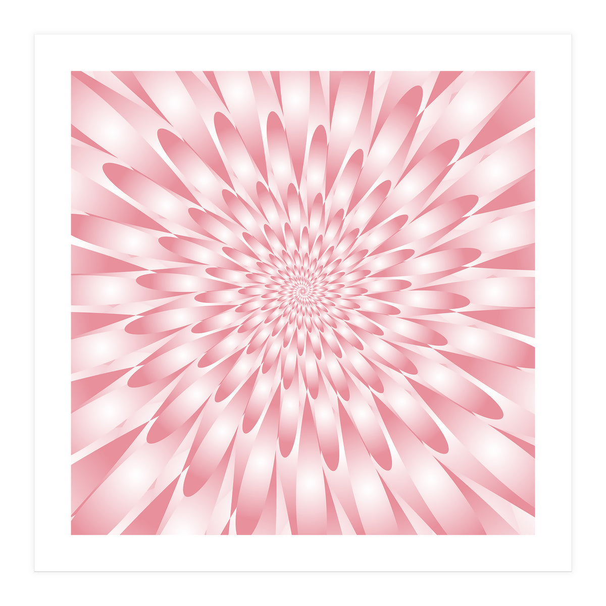 Spiral Pink Flower  (Print Only)